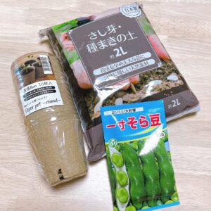 そら豆の種まきに必要なもの